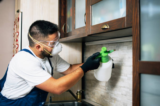 Best Pest Control Treatment  in Kenhorst, PA