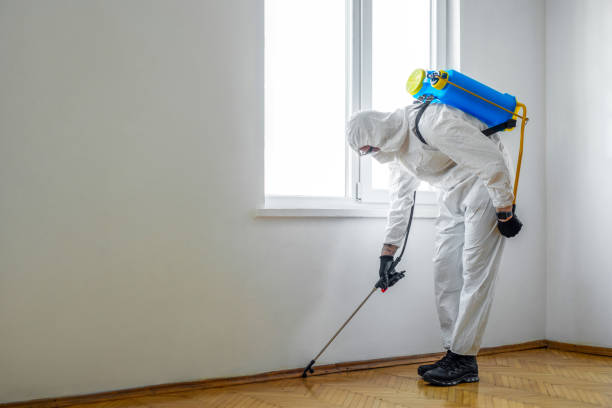 Best Emergency Pest Control  in Kenhorst, PA