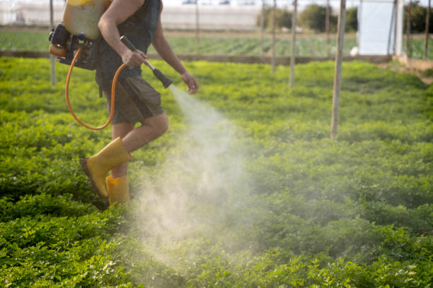 Best Ant Control Services  in Kenhorst, PA