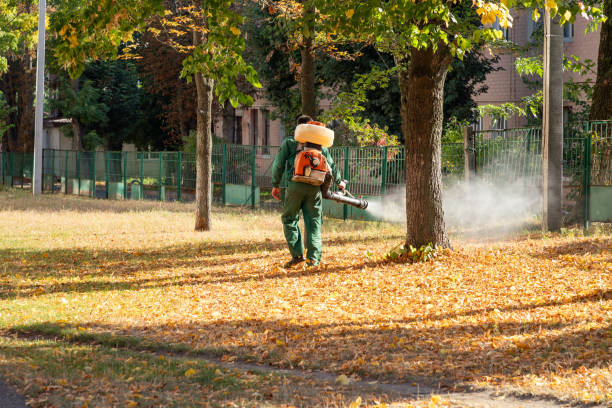 Best Pest Control for Homes  in Kenhorst, PA
